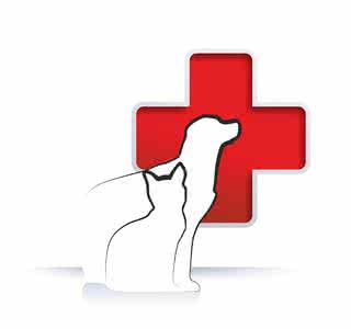 收入证明_宠物医院收入(3)