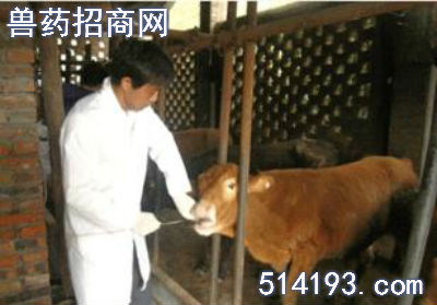 牛口蹄疫治疗方法