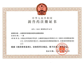 orange 1961