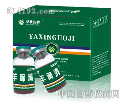 羊蹄清（强效型）