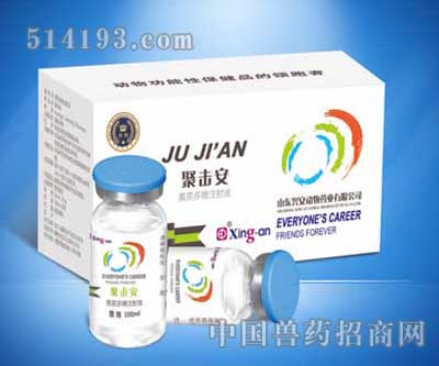  聚击安