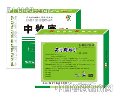 炎毒链跛宁