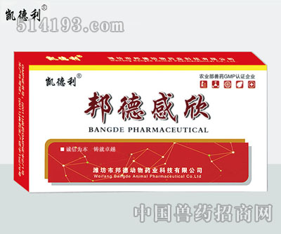 邦德感欣