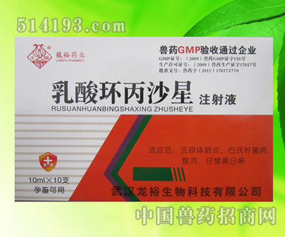 乳酸环丙沙星