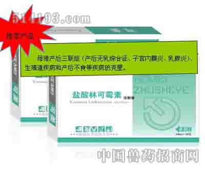 盐酸林可霉素注射液