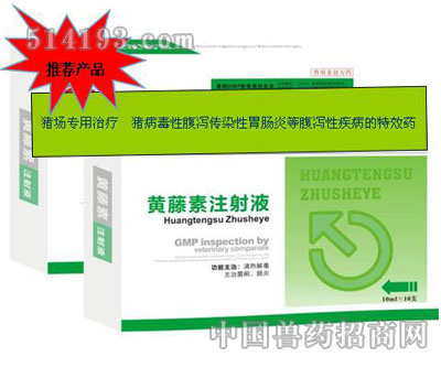 黄藤素注射液