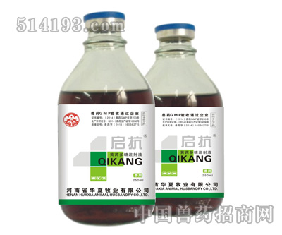 启抗