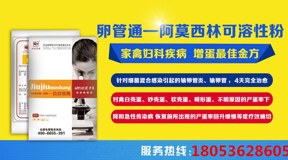 输卵通 