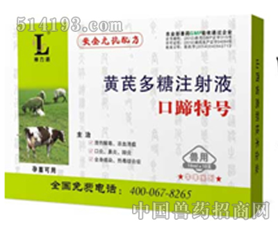 口蹄特号