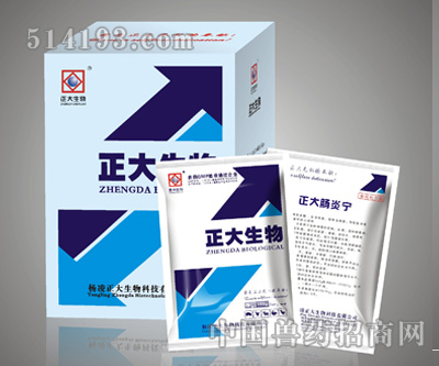 正大肠炎宁