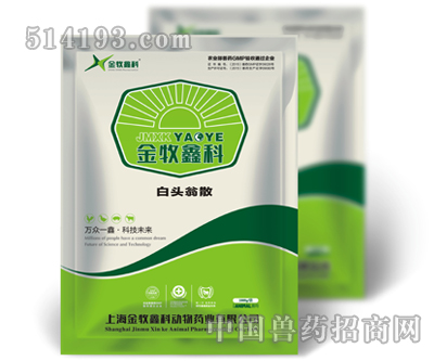 白头翁散