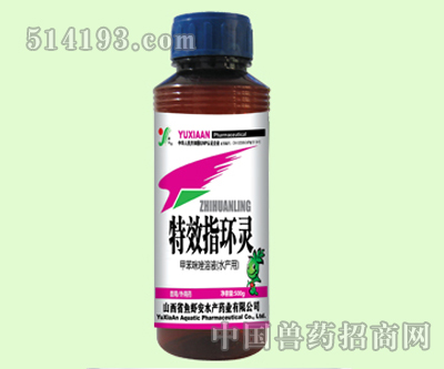 特效指环灵