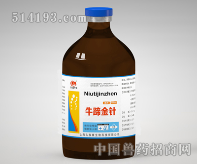 牛蹄金针
