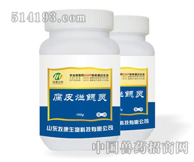 腐皮烂鳃灵