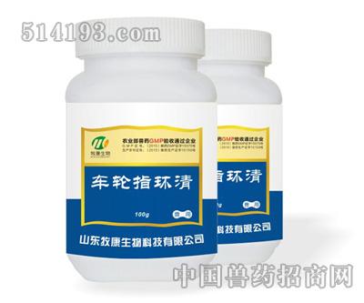 车轮指环清