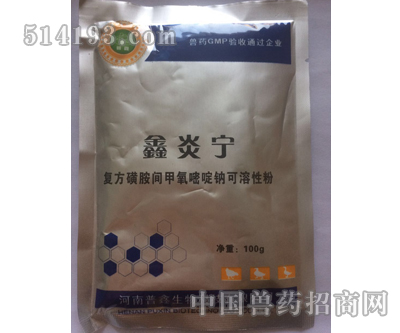 普鑫鑫炎宁