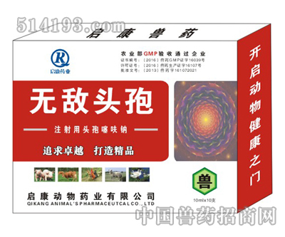 无敌头孢