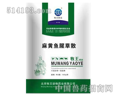麻黄鱼腥草散  