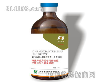 母子专家