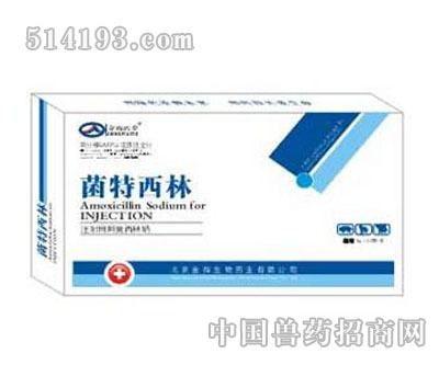 菌特西林