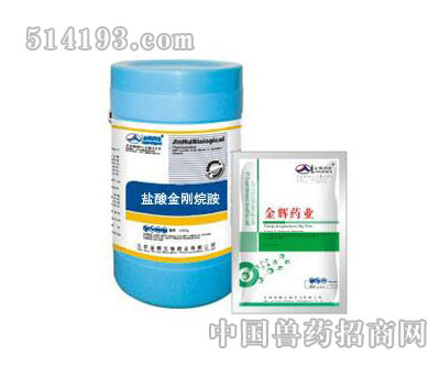 盐酸金刚烷胺