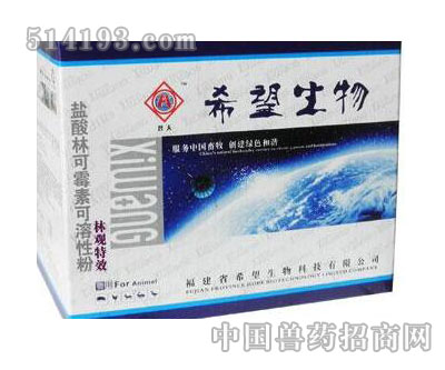林观特效