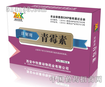 注射用青霉素