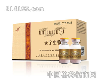 高热专家