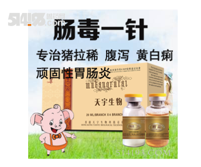 肠毒一针（猪腹泻 拉稀 胃肠炎的克星）