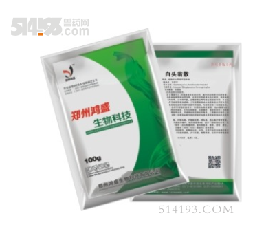 白头翁散