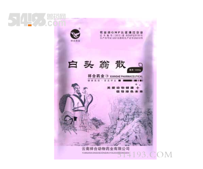 白头翁散