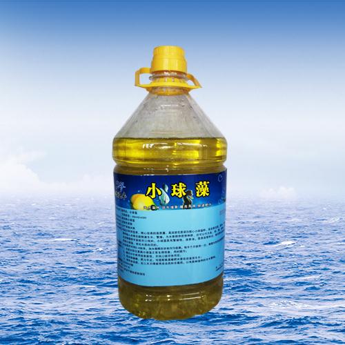 小球藻 