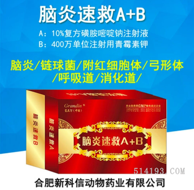 脑炎速救A+B
