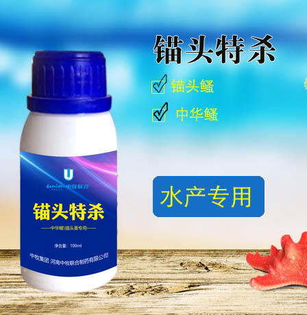 锚头蚤
