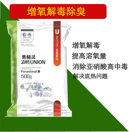 黑精灵