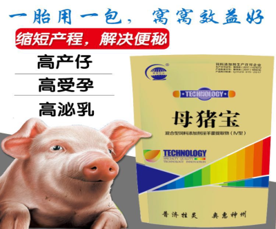 母猪宝