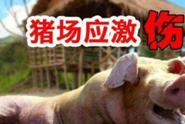 猪应激综合征的主要症状是什么？如何诊断？
