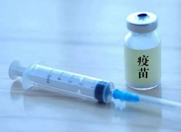哈兽研非洲猪瘟疫苗专利申请公开！保护率100%？何时面世？售价几何？