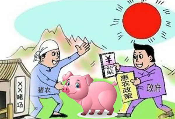 2019年养猪补贴政策：规模猪场补贴20-80万元