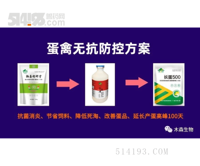 蛋禽无抗防控方案