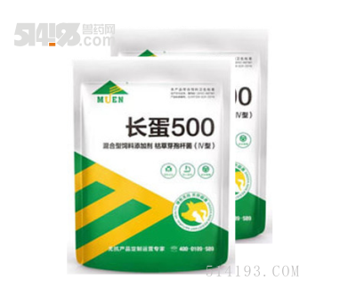 长蛋500