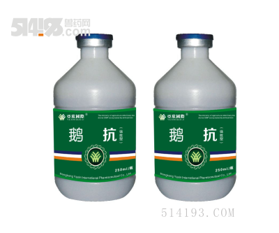 鹅抗