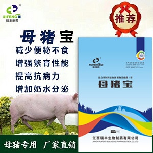 母猪宝