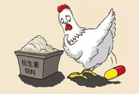 “禁抗”时代已来，禁“促生长” 留“防治病”，你准备好了吗？