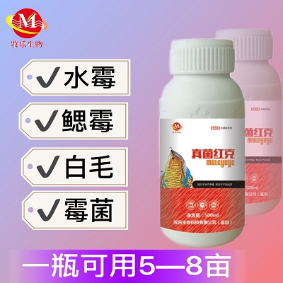 真菌红克