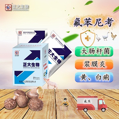 氟苯尼考粉
