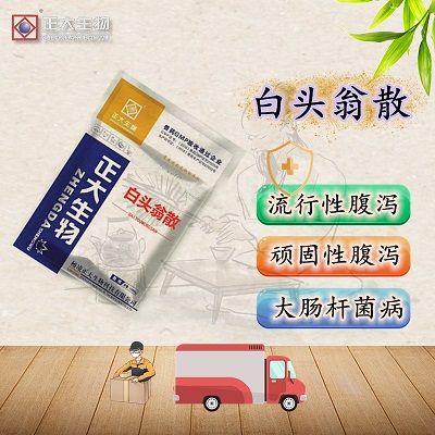 白头翁散