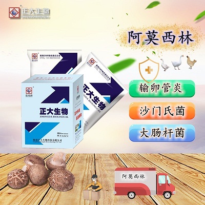 阿莫西林可溶性粉