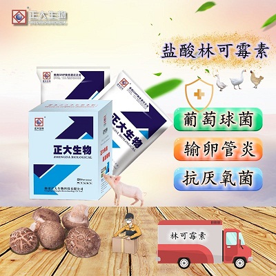盐酸林可霉素可溶性粉