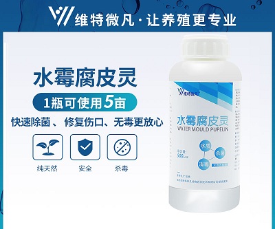 水霉腐皮灵